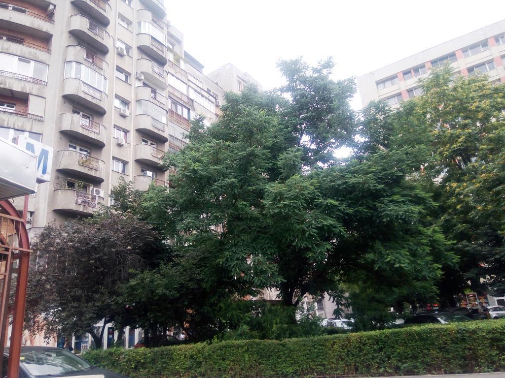 Apartament Dana Bukarest Exteriör bild